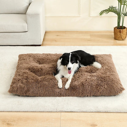Hundebett CozySoft