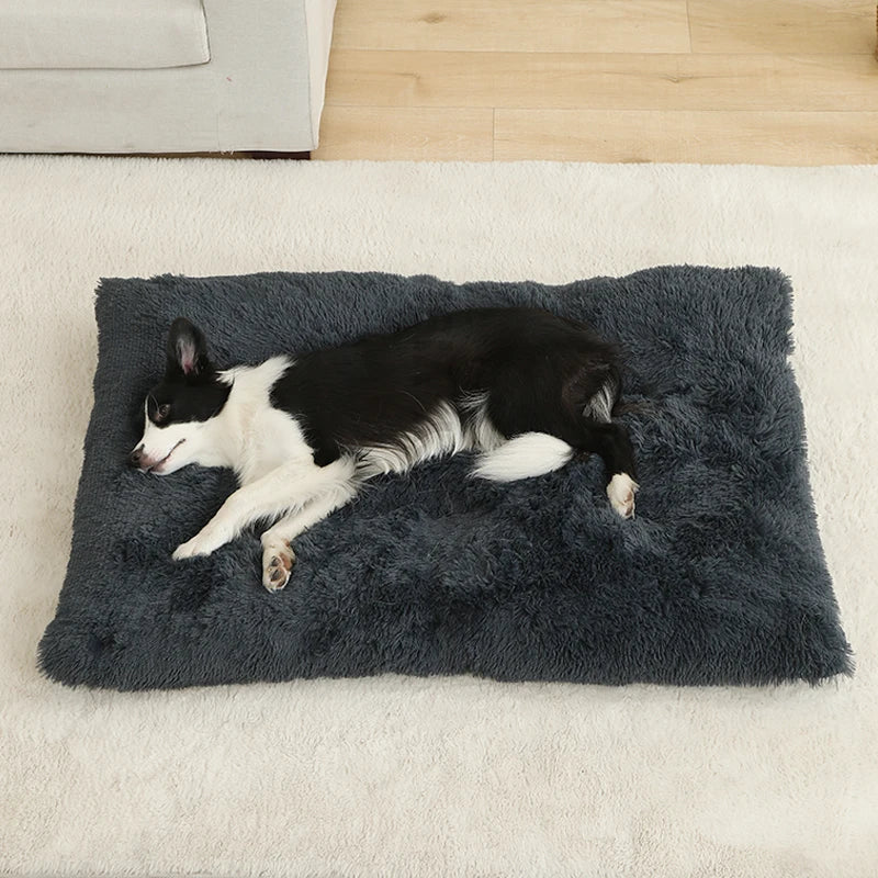 Hundebett CozySoft